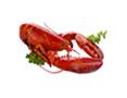 Syldon Foods – Wholesale Food & Takeaway Supplier