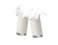 Syldon Foods – Wholesale Food & Takeaway Supplier