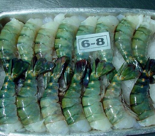 King Prawn 6-8 Box (700gm X 6)